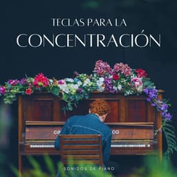 Teclas Para La Concentración, Sonidos De Piano - Canal de piano clásico