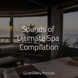 Sounds of Ultimate Spa Compilation - Musique Zen Garden