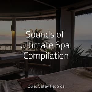 Sounds of Ultimate Spa Compilation - Musique Zen Garden