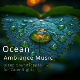 Ocean Ambiance Music - Sleep Soundscapes for Calm Nights - Ocean Waves for Deep Sleep