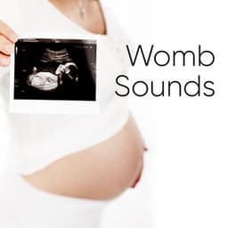 Womb Sounds - White Noise Collectors