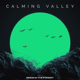 Calming Valley - Birds In The Forest