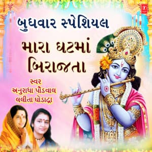 Budhwar Special - Mara Ghat Ma Birajata - Anuradha Paudwal