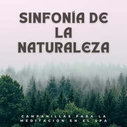 Sinfonía De La Naturaleza: Campanillas Para La Meditación En El Spa - Naturaleza Caldwell