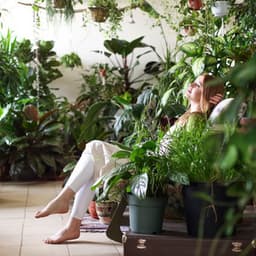 Piano Rain Relaxation: Serenity in Every Note - Gentle Piano Collective