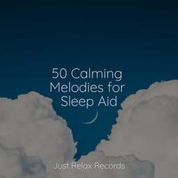 50 Calming Melodies for Sleep Aid - Rest & Relax Nature Sounds Artists