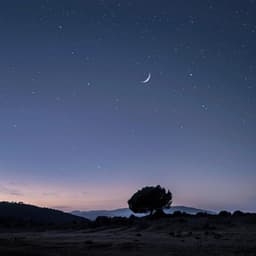 Descanso Apaciguador: Música De Relajación Para Noches Pacíficas - Lista de reproducción para relajarse por la noche