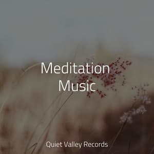 Meditation Music - Nature Music Pregnancy Academy