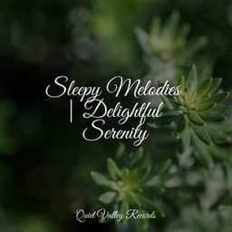 Sleepy Melodies | Delightful Serenity - Ruído Branco