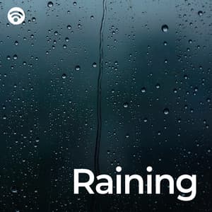Raining - Sons De Chuva