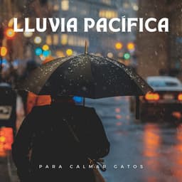 Lluvia Pacífica Para Calmar Gatos - Sonidos de lluvia y sonidos de la naturaleza