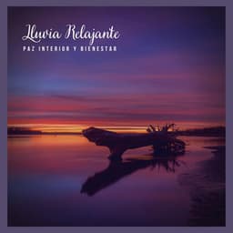 Lluvia Relajante: Paz Interior y Bienestar - Lluvia