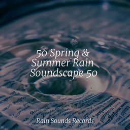 50 Spring & Summer Rain Soundscape 50 - Musica para Bebes