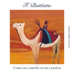 Como Un Camello En Un Canalon - Franco Battiato