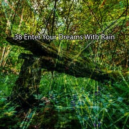 38 Enter Your Dreams With Rain - Rain Atmospheres