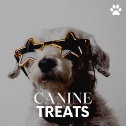Canine Treats - Calming for Dogs