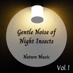 Nature Music: Gentle Noise of Night Insects - The Outdoor Library