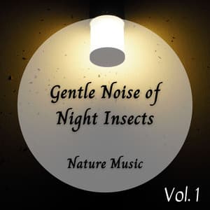 Nature Music: Gentle Noise of Night Insects - The Outdoor Library