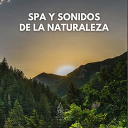 Spa y Sonidos de la Naturaleza - Sonido Del Bosque y Naturaleza