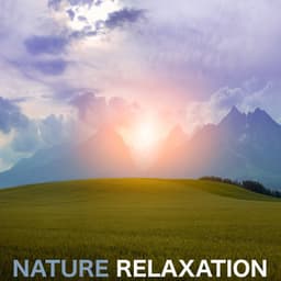 Nature Relaxation - Sleep Sounds of Nature