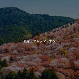 庭をリフレッシュする - Classic Jazz