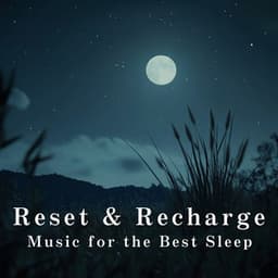 Reset & Recharge - Music for the Best Sleep - Relax α Wave