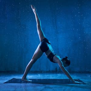 Harmonic Raindrop Zen: Serene Yoga Harmony Binaural - Rain Sounds Factory STHLM