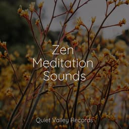 Zen Meditation Sounds - The Sleep Specialist