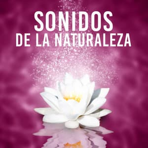 Sonidos de La Naturaleza – Armonía, Goodness, Kindness, Honesty, Asiático, Japonés, Feng Shui, Equilibrio - La Academia de Música para la Meditación de Sanación