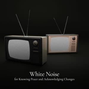 * White Noise for Knowing Peace and Acknowledging Changes * - Loopable White Noise