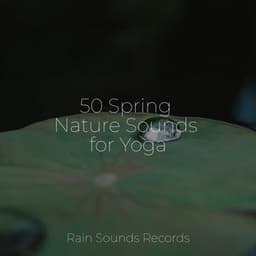 50 Spring Nature Sounds for Yoga - Sleepy Night Music