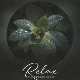 Relax - Rain Sounds Sleep