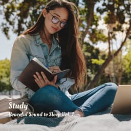 Study: Peaceful Sound to Sleep Vol. 1 - Classical Study Music