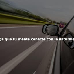 Deja que tu mente conecte con la naturaleza - Hotel Lounge Soundtracks