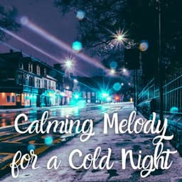 Calming Melody for a Cold Night - Native American Nature