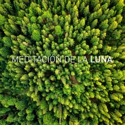 Luna Dormir - Luna Tunes