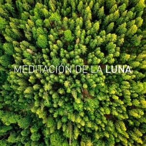 Luna Dormir - Luna Tunes