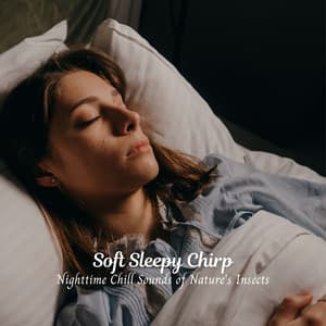 Soft Sleepy Chirp: Nighttime Chill Sounds of Nature's Insects - Forest Crickets