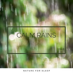 Calm Rains vol. 1 - Summer Showers