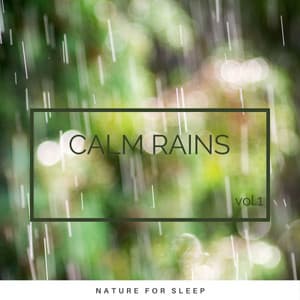 Calm Rains vol. 1 - Summer Showers