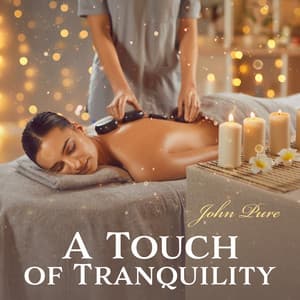 A Touch of Tranquility: Quick Relief from Stress and Anxiety - John Pure