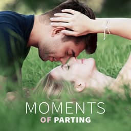Moments of Parting - Everyone Knows, Strangers and Loving, Beautiful Looks, Passionate Kisses, Romantic Gestures, Sensual Touch - Jazz For Wine Tasting