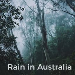 Rain in Australia - Rain Sounds XLE Library