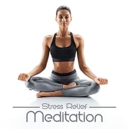 Stress Relief Meditation: Relaxing Music for Contemplation and Yoga Practice, Calming Sounds for Anxiety - Healing Yoga Meditation Music Consort