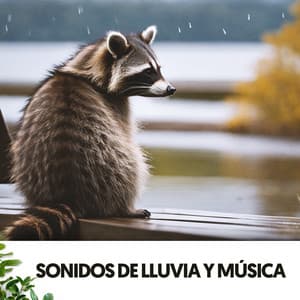 Sonidos de Lluvia y música: Un viaje acuático a la calma - Dog Music