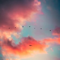 Sueño rápido Bebé sentarse Volver Ruido - Sonido Blanco