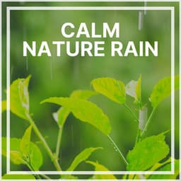 Calm Nature Rain - Natural Rain Sounds for Sleeping