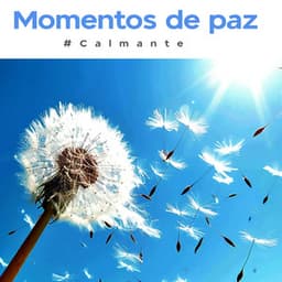 Momentos de paz - #Calmante