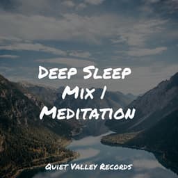 Deep Sleep Mix | Meditation - Natural Sounds