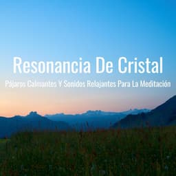 Resonancia De Cristal: Pájaros Calmantes Y Sonidos Relajantes Para La Meditación - Los Pájaros Cantores
